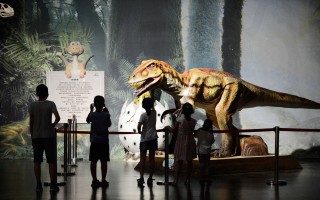 自贡恐龙博物馆科技馆 三件珍贵标本开箱！中国恐龙大展5月26日在沪开幕，明星标本汇聚一堂