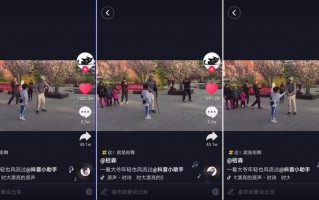 短视频制作点赞最高 太夸张！一个视频接近100W赞