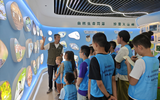 润雨科技，润雨科技发展有限公司