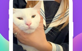 astyles music软件下载 知名乐队成员突然坠亡，年仅31岁！这些歌全是青春……