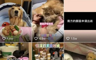 怎样剪辑宠物短视频呢 曝光！宠物类短视频4大变现途径，帮你到这啦