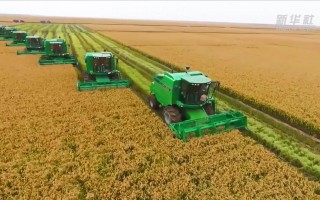 农业短视频制作 【2025年乡村全面振兴怎么做】——强化农业科技和装备支撑（视频）