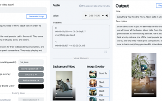 佛短视频制作 只需一段话，「一键生成」短视频的工具来了